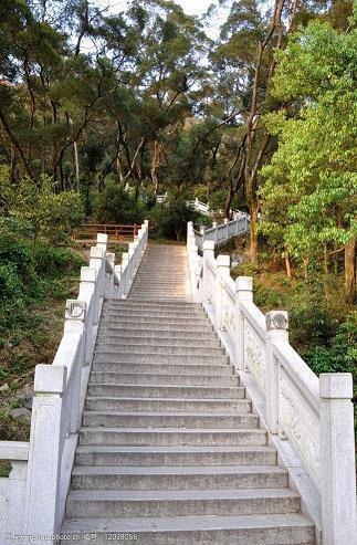 野火烧不尽春风吹又生的意思和全诗_含有春风的诗