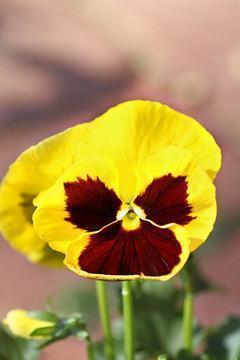 【精品】中学生摘抄优美好段大全 适合抄在摘抄本上的句子推荐82句