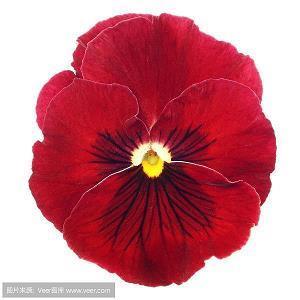 关于工作没动力的朋友圈说说(精选21句)