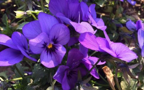 10月再见11月你好抖音最火心情说说文案