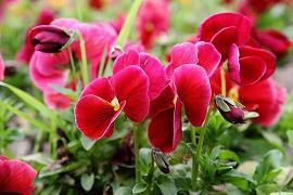 和平分手最感动的话 分手的说句子说给对方