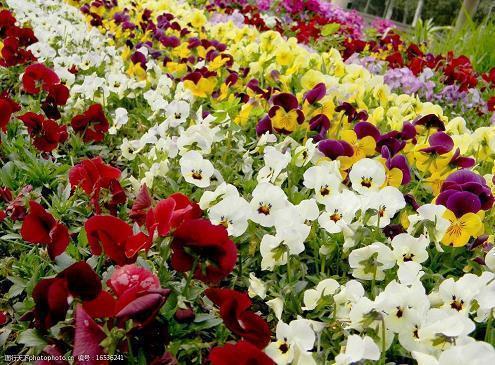 关于安静的唯美句子推荐73句