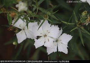 评论伤感的句子简短 一些简短又悲伤的句子