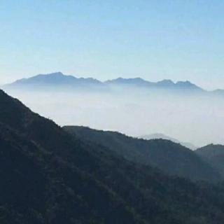 形容悲哀的句子合集53句