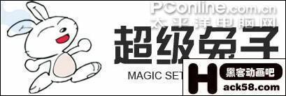 髭胡
