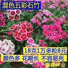 2020抖音最火的文案精选40句