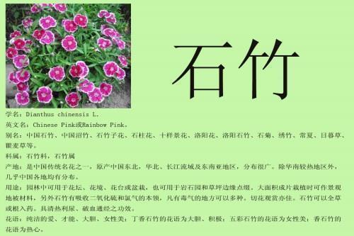 较估