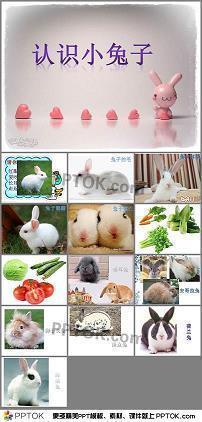 闻义