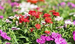 八月十五中秋节走心祝福文案(精选94条)