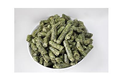 文风不动