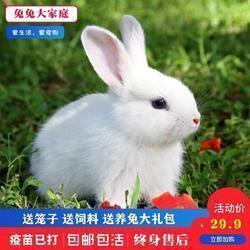 畖