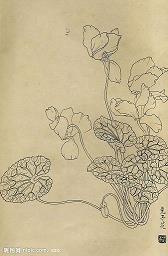 2021重阳节敬老朋友圈文案(精选97条)