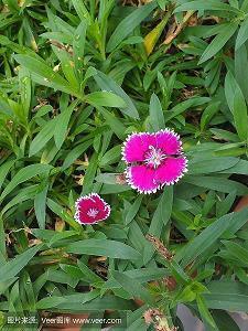 劳动节快乐的句子 五一劳动节的优美句子