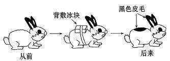 飞谤