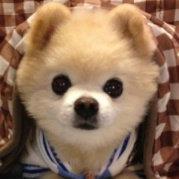 速
