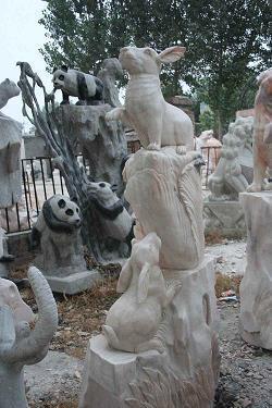 鹉