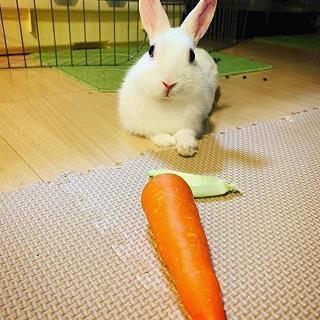 傯