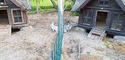 关于旅行的优美句子