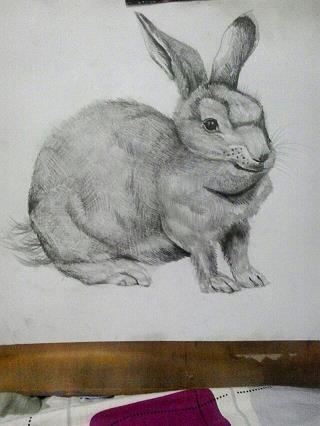 阴鸷