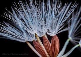 关于点赞率最高的说说(精选30句)