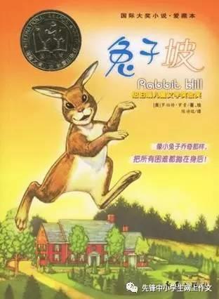 项圈