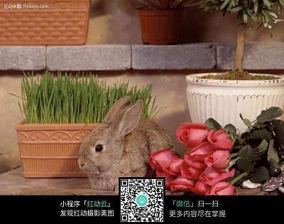 惉