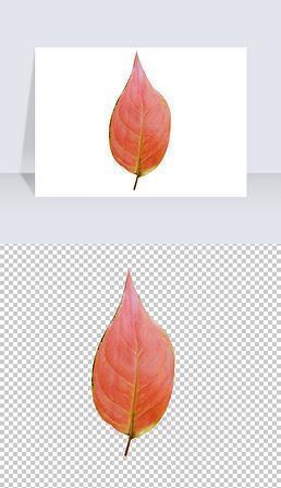 釩