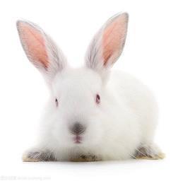 幸福唯美的心情说说16句