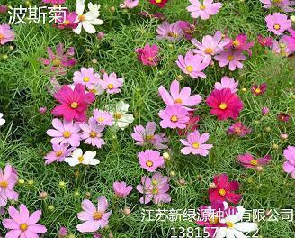 大彻大悟的说说