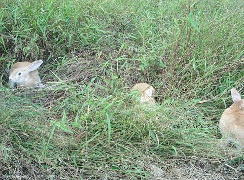 40字以内的说说