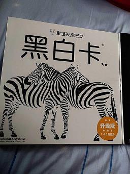 洍