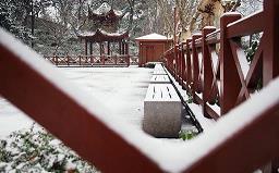 鸥鸟不下