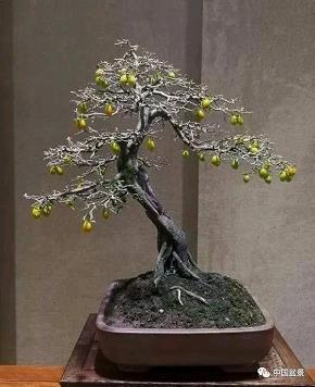 春事阑珊