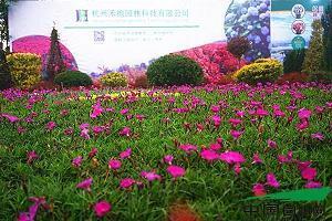 中秋节的一段话唯美祝福语(精选117条)