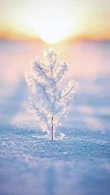 七夕单身狗搞笑文案2021年(精选99句)