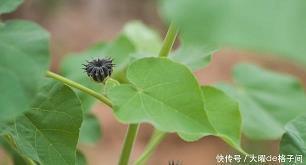 涓滴不遗
