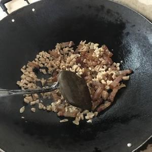 雉兔