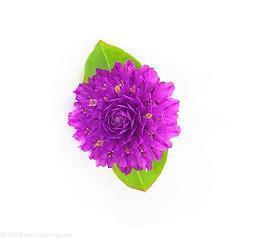 2021春节拜年短信祝福语