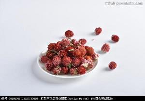 靠谁不如靠自己的说说