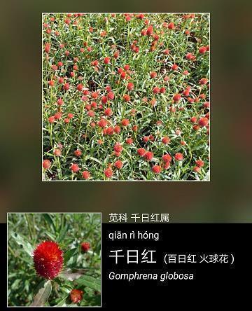 个性说说配图