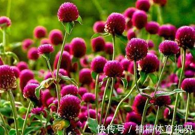贫罄