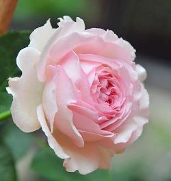 念旧伤感的心情说说短语