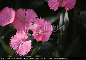 我读书我快乐格言