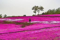 2022元旦祝福语简短独特句子(精选87条)