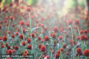 2021教师节文案朋友圈(精选83条)