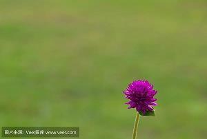 慃