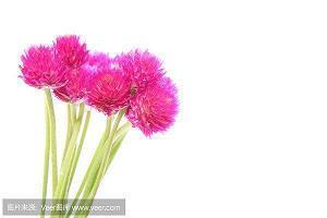 10月最后一天说说文案(精选97句)