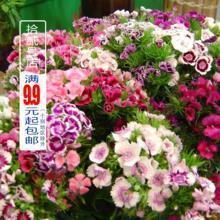 八一建军节简单祝福文案(精选84条)