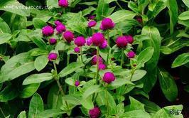 2021教师节简洁文案(精选70条)