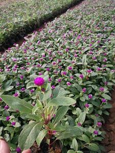 回首过往的感慨句子 回望过去的句子经典收录27句